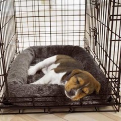 crate-training-your-dog-300x300