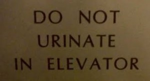 urinate in elevator